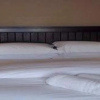 Отель Jarramandie Guesthouse, фото 2