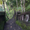 Отель Sangeh Uma Dong Loka Villa, фото 19