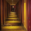 Отель New Wencai International Hotel, фото 6