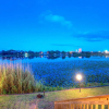 Отель Lullwater Front Beach Condos by ZIA VR, фото 16