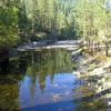 Отель Yosemite Lakes Bunkhouse Cabin 27, фото 5