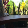 Отель Gili Spoy - Spoy Homestay, фото 2