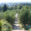 Отель Agriturismo Montalto, фото 10