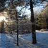 Отель Villa Nytorp, фото 7