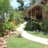 Отель Albany Home Stay, фото 7