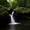 Отель Terra do Sempre Reserva Ecológica e Pousada, фото 11