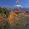 Отель Nakasumi Ryokan, фото 18