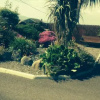 Отель Atlantic View Bed & Breakfast, фото 6