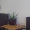 Отель Apartment Caribe Centro, фото 9