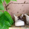 Отель B&B Olbia, фото 15