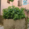 Отель Bed & Breakfast Antico, фото 1