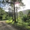 Отель Noosa Forest Retreat, фото 1