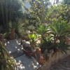 Отель B&B Chorisia, фото 13