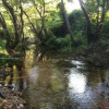 Отель Agriturismo Campesi, фото 8