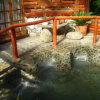 Отель Armonías del Río Cabañas-Spa, фото 6
