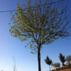 Отель El Rincón Del Valle en la Ruta Del Vino, фото 9