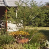 Отель The Fever Tree Guest House, фото 3