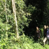 Отель La Perla de la Selva Lodge, фото 2