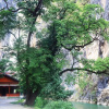 Отель Shangri-La Balagezong Lover Valley Hotel, фото 4