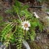 Отель Chalet Talblick, фото 8