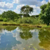 Отель Muchenje Self Catering Cottages, фото 5