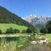 Отель Werfenweng Ferienappartements, фото 8