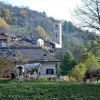 Отель Agriturismo Il Mulino Delle Fucine, фото 10