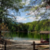 Отель Gillford Cabin, фото 6