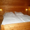 Отель Chalet Victoria, фото 3