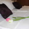 Отель Enni Guest House, фото 12