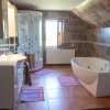 Отель Casa Din Gradina Lui Ioan, фото 5