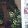 Отель B&B Alfrantoio Valderice, фото 1