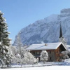 Отель Alps Villa, фото 9