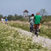 Отель Vakantiehuis Camping It Wiid, фото 5