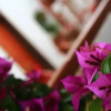 Отель Amaru Hotel Huaraz, фото 11
