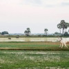 Отель Real Home Stay, фото 7