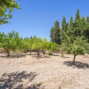 Отель YourHouse La Suerte, фото 8