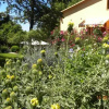 Отель Casa Vacanze La Ginestra, фото 3