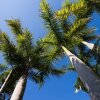 Отель Jacaranda Villa Coffs Harbour, фото 1