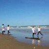 Отель Beach House I Condominium 203, фото 19