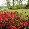 Отель The Morrum River Bed and Breakfast, фото 4