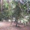 Отель Amazon Hostel Iranduba, фото 10