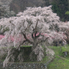Отель Chinjyusou, фото 7