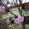 Отель Pousada Poente, фото 6