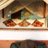Отель Serengeti Simba Lodge, фото 9