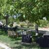 Отель Agriturismo Su Pinnettu, фото 1