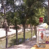 Отель Quinta da Bouça, фото 3