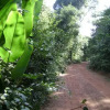 Отель Pousada Jardim da Amazônia, фото 11