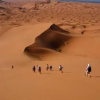 Отель Desert Deep Camp, фото 16