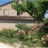 Отель Allombra degli Ulivi B&B, фото 6